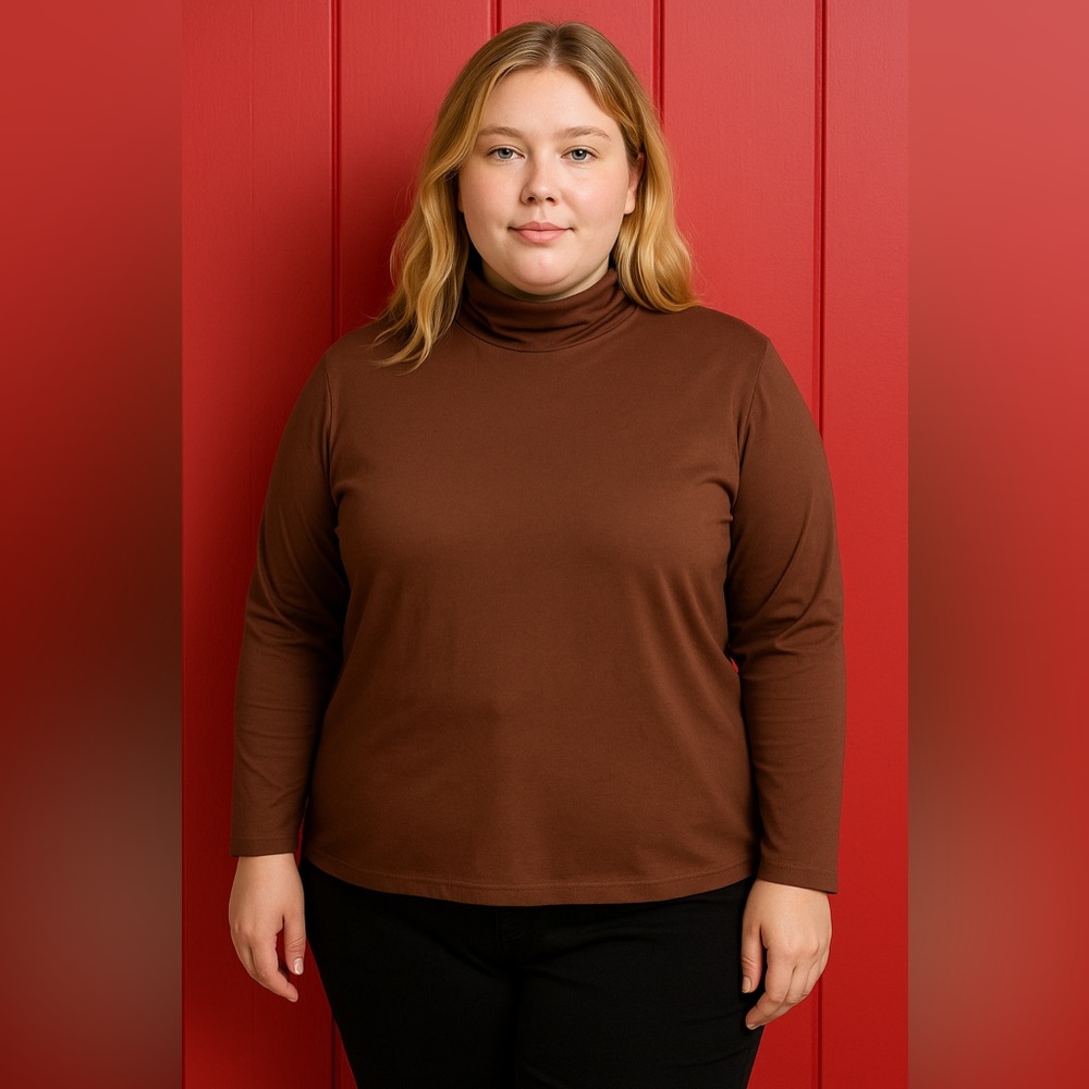 Ambiance Brown Turtleneck Top – Size 2X JR’S